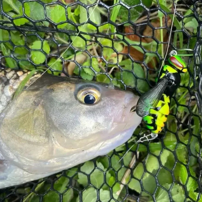 🔥💥 Last Day 49% OFF – 🐝 Bionic Wasp Topwater Lure That Triggers Explosive Strikes-Finds