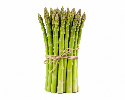 🌿Four Seasons Asparagus Mary Washington– Perennial, Tender, Nutrient-TOP1