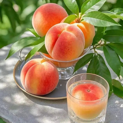 🍑The Ultimate Backyard Peach Duo: Giant Juicy Variety - Begin Your Home Orchard Journey Today -Bestseller