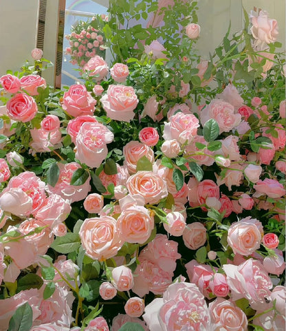 🏡 All-In-One Garden Starter: 8 Robust Climbing Roses 🚀🏡🇺🇸  -TY