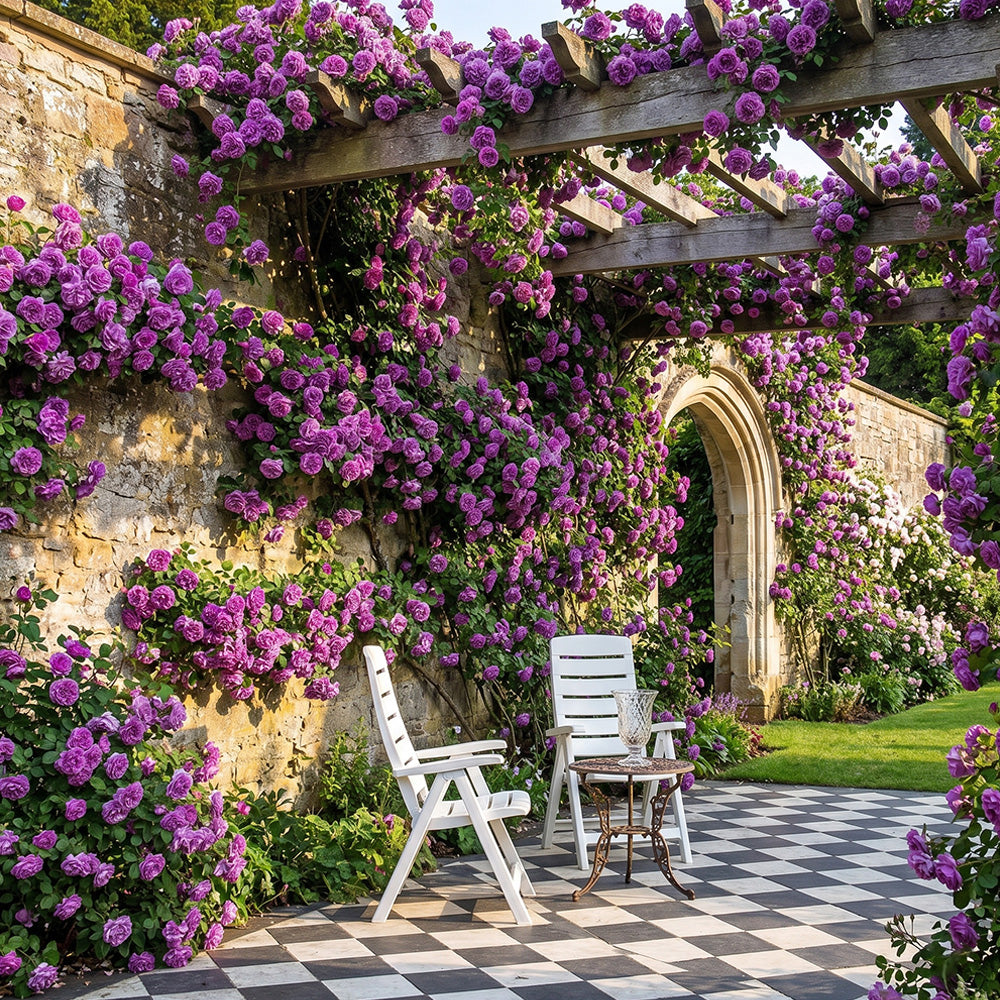 🏡 All-In-One Garden Starter: 8 Robust Climbing Roses 🚀🏡🇺🇸  -TY