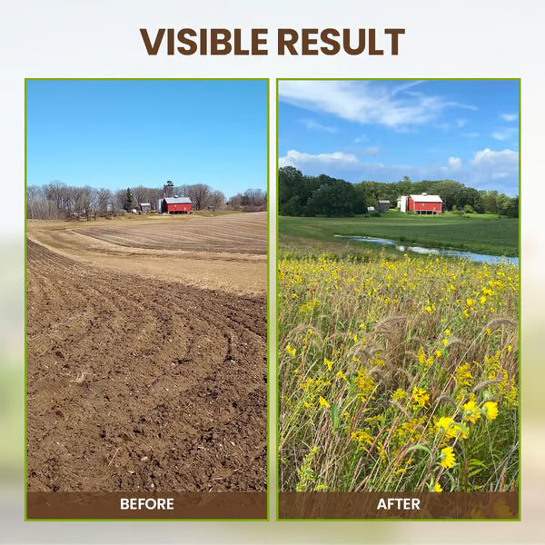 The "Secret" Your Plants Are Begging You For—It's Not Fertilizer! 🌿🌳Soil Pro Activator -TY