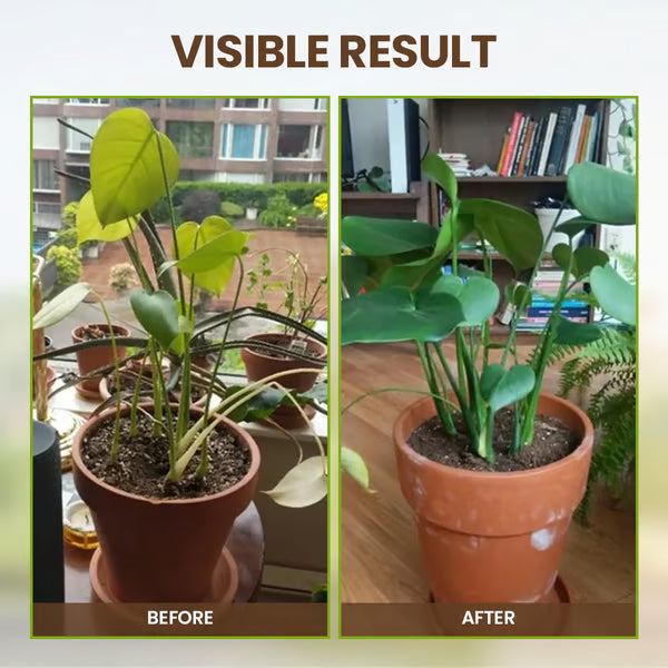 The "Secret" Your Plants Are Begging You For—It's Not Fertilizer! 🌿🌳Soil Pro Activator -TY