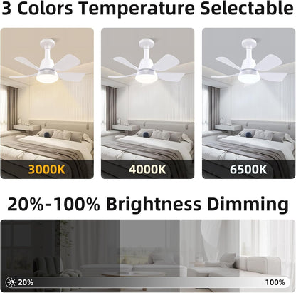 Socket Fan with Light and Remote, Socket Fan Light 3000K-6500K 3 Colors Dimmable, 5 Blades with Socket Extender,Portable Small Ceiling Fans-Rush