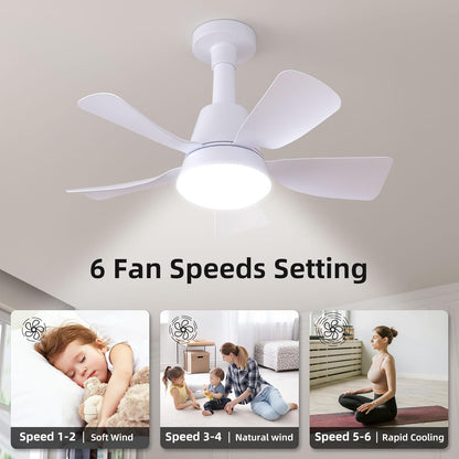 Socket Fan with Light and Remote, Socket Fan Light 3000K-6500K 3 Colors Dimmable, 5 Blades with Socket Extender,Portable Small Ceiling Fans-Rush