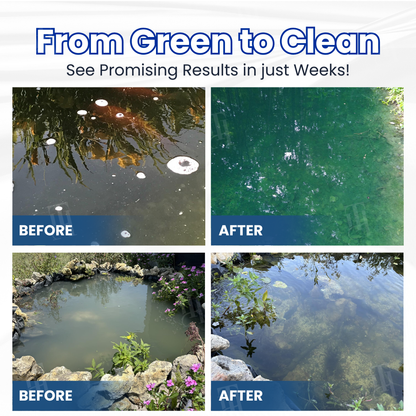 ✨ From Green to Clean Overnight! |⏱️ Crystal Clear in 24 Hours!-Rush