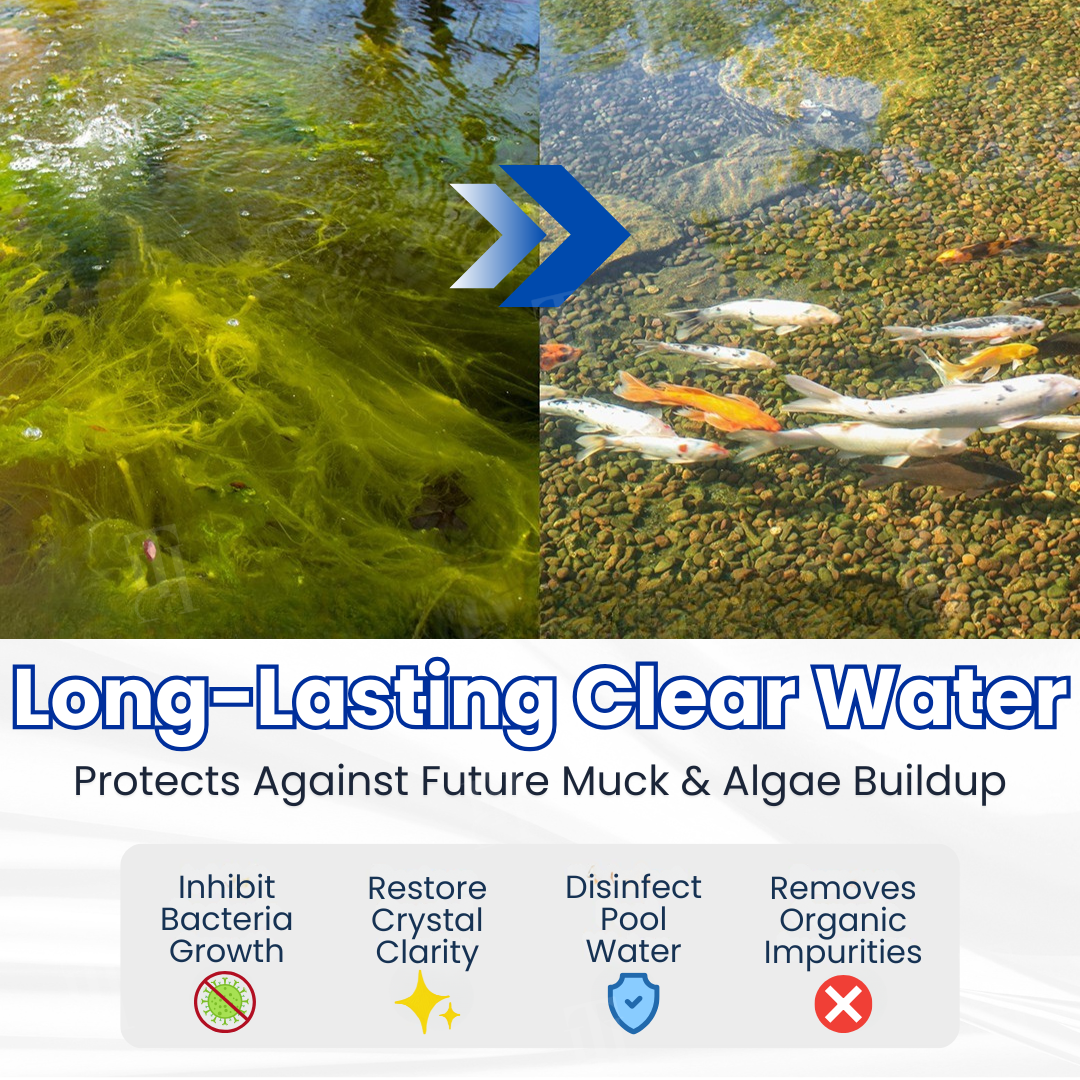 ✨ From Green to Clean Overnight! |⏱️ Crystal Clear in 24 Hours!-Rush