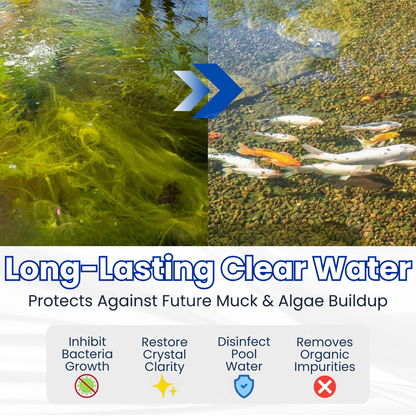 ✨ From Green to Clean Overnight! |⏱️ Crystal Clear in 24 Hours!-Rush