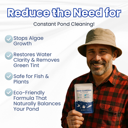✨ From Green to Clean Overnight! |⏱️ Crystal Clear in 24 Hours!-Rush
