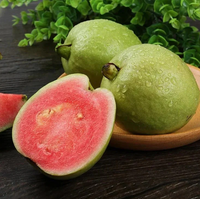 Guava 🍐
