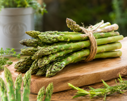 🌿Four Seasons Asparagus Mary Washington– Perennial, Tender, Nutrient-TOP1