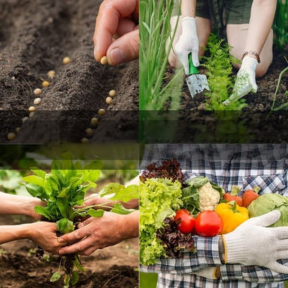 🥦Ultimate Survival Seed Vault (16,000+ Seeds) | 35 Variety Pack🌿|50-Year Shelf Life-edition
