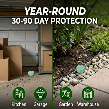 ⚡HOT SALE 50% OFF - 12- Pack Popular Natural Rodent Repellent Balls - Finds