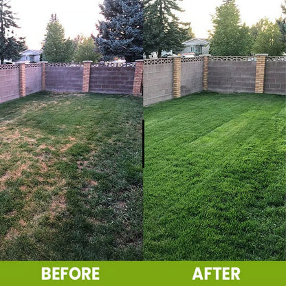 🔥Seasonal Promotion🔥-Soil Nutrient Enhancer-HG
